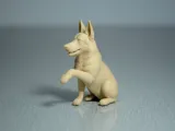 German Shepherd-5