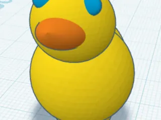 Duck