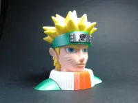 NARUTO - PRINT BY COLOR-3