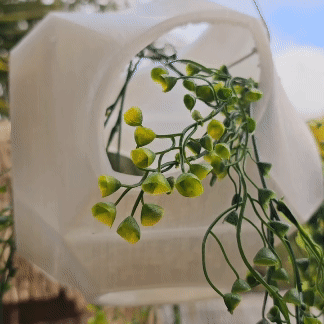 Hanging iluminat Planter cutie dacor