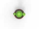 Cactus anal plug-7