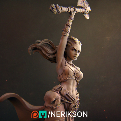Sia the Elf Barbarian