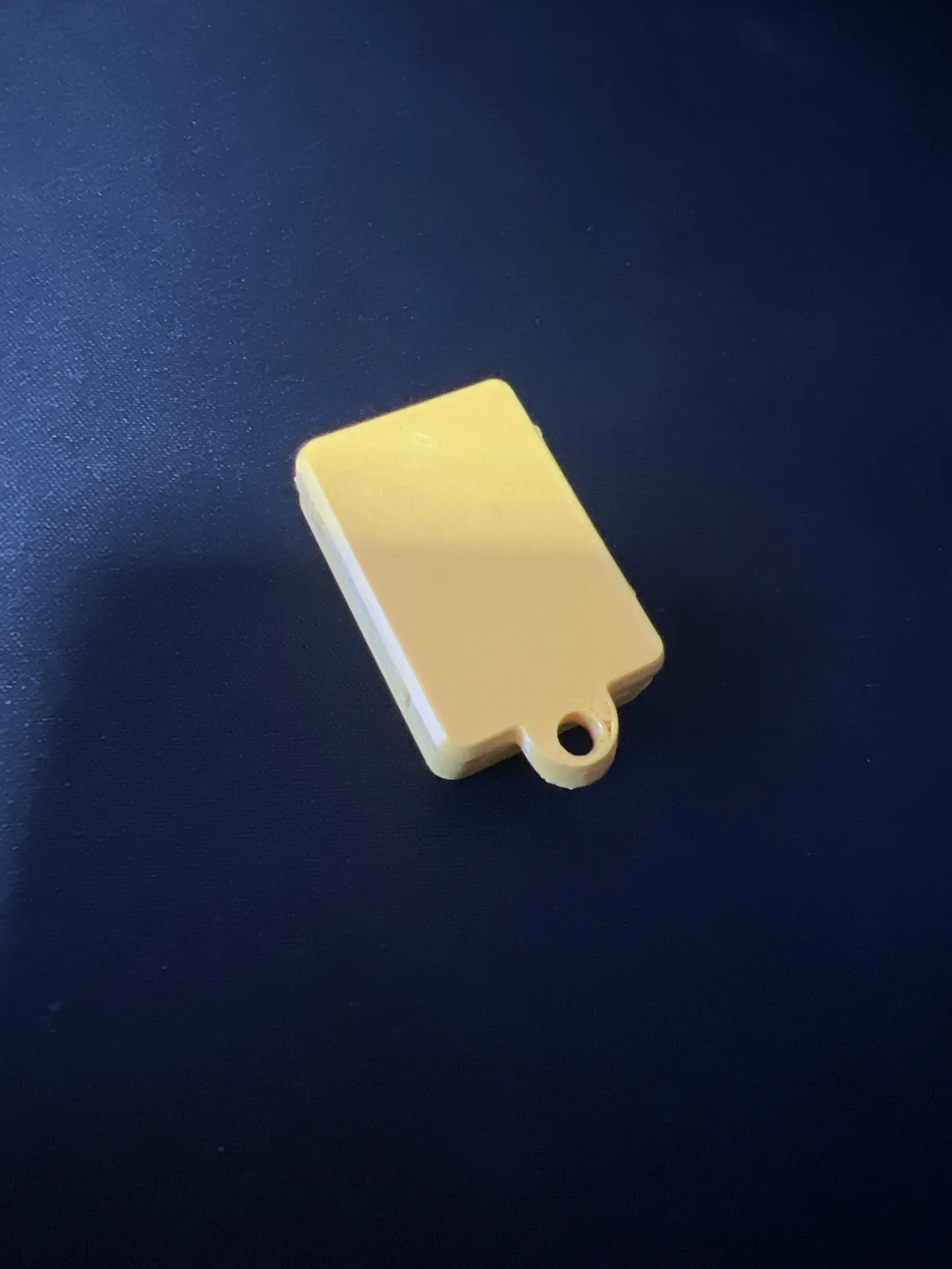 Basic Gate Remote Controller