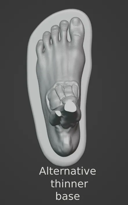 🦶Anatomical Foot Model - With Customizable Base 🦶