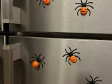 Ragno di Halloween-0