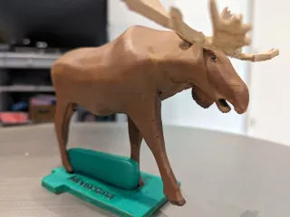 Moose