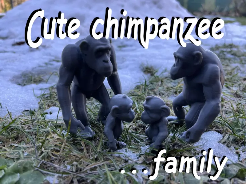 Cute chimpanzee family