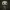 Funko Custom Pelado