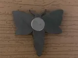 Death's Head Moth Magnet-1