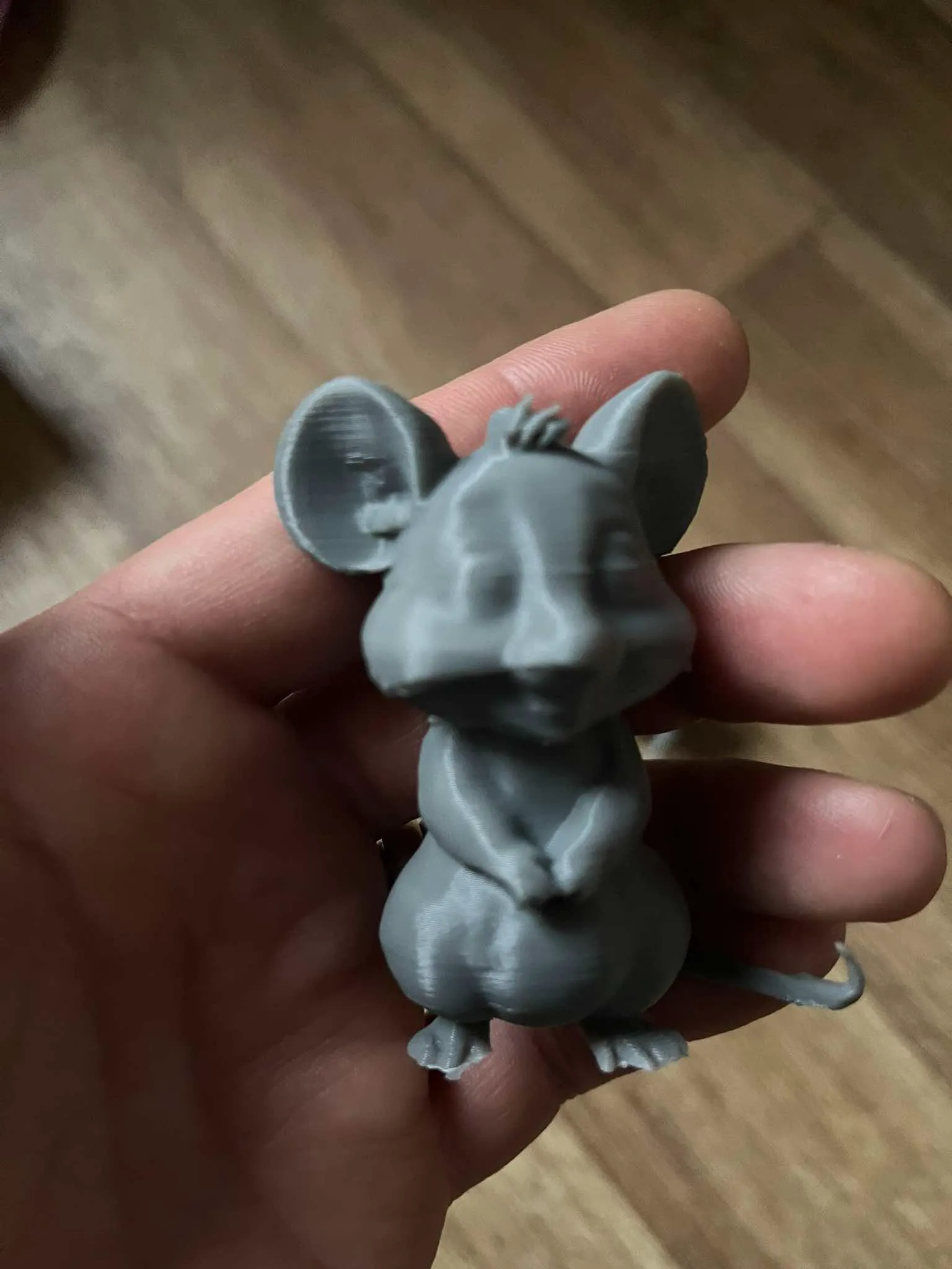 Cute rat family