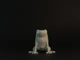 Low Poly Frog-0