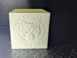 Scatola Dettagliata del Lupo-4