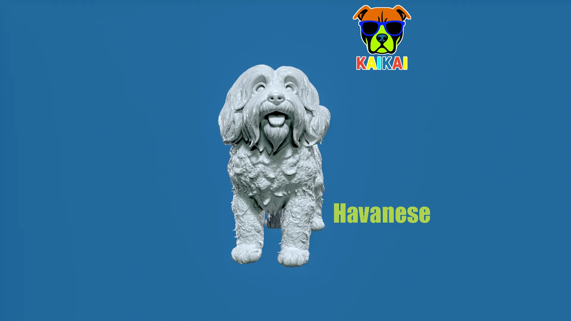 Havanese Cuban Bichon Dog model - 3D print