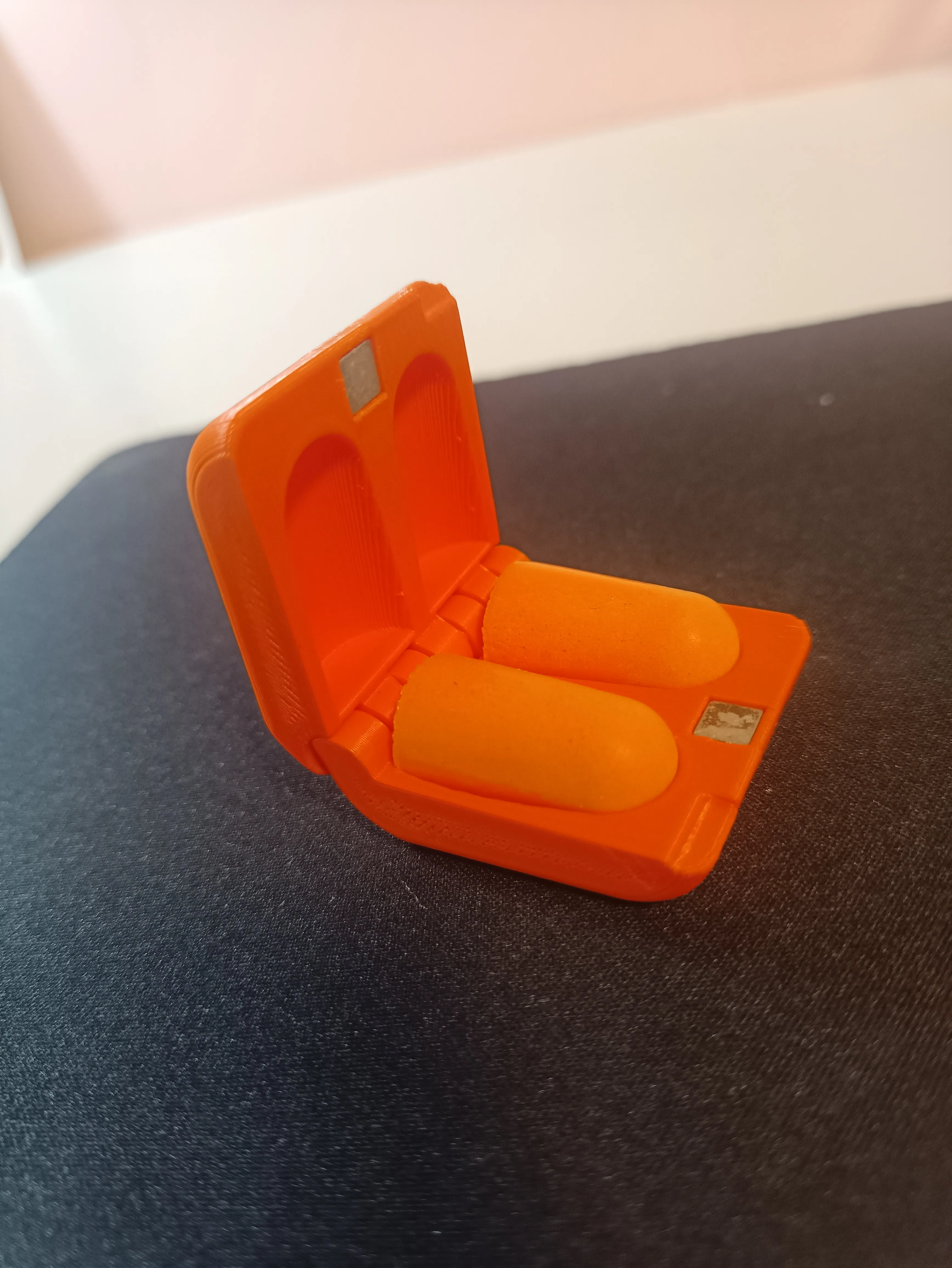 Earplug case