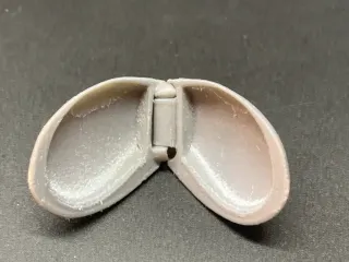 Sea Shells