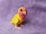 Lovebird-1