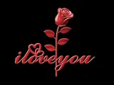 Rose I Love You Valentines Day-3