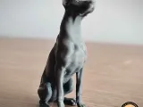 Doberman-2
