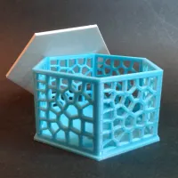 Voronoi Hexagonal Box-1