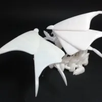 Silver Dragon-1