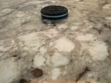 Oreo-6