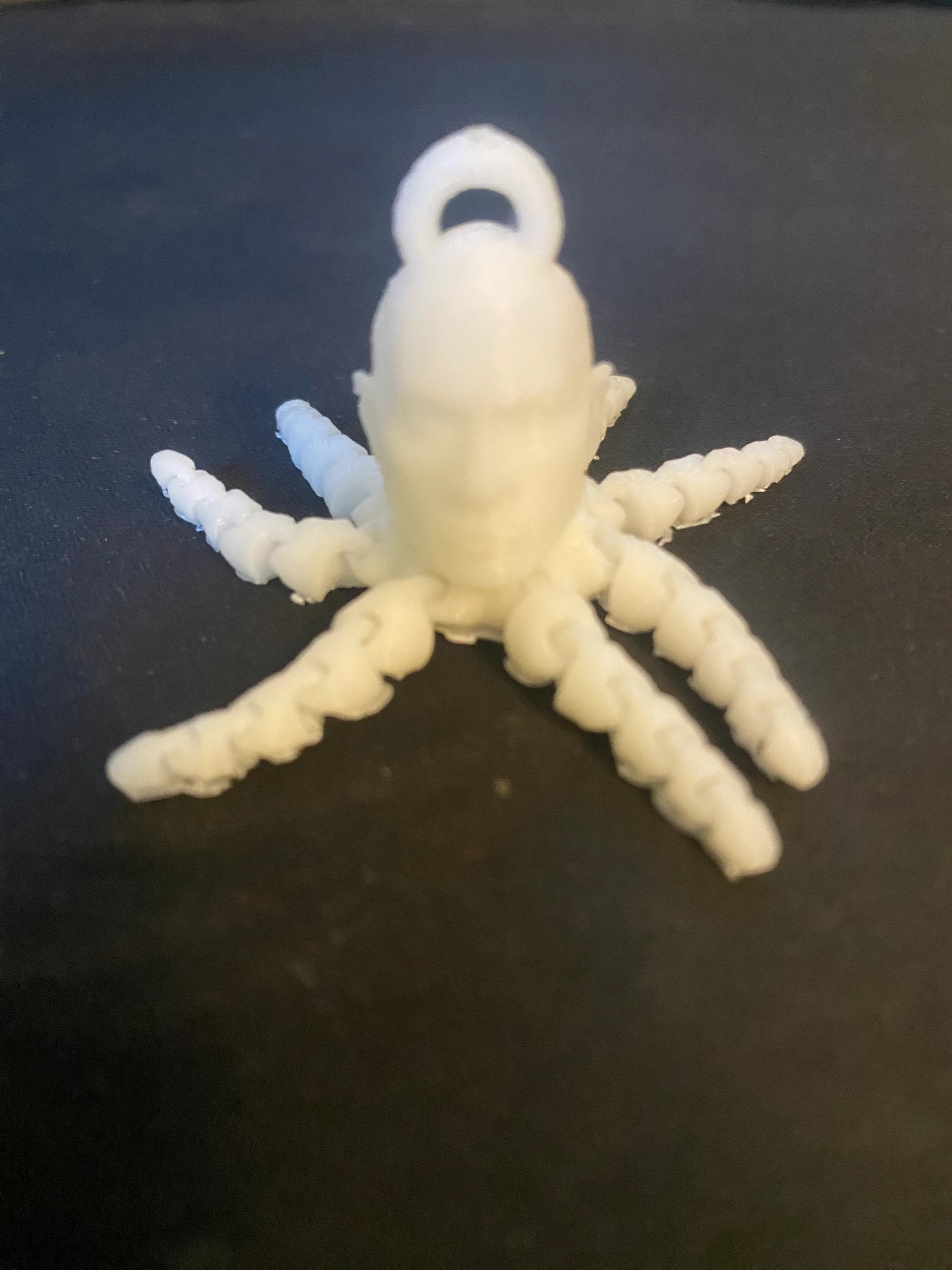 Rocktopus with mounting-hole