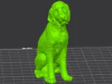 Labradoodle-2
