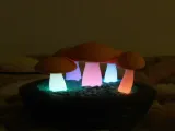 Kinoko Lamp-0