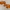 Play Shapes: Bin Lorry (Garbage Truck)