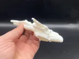 Spaceship-1