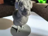 Chickdawg-2