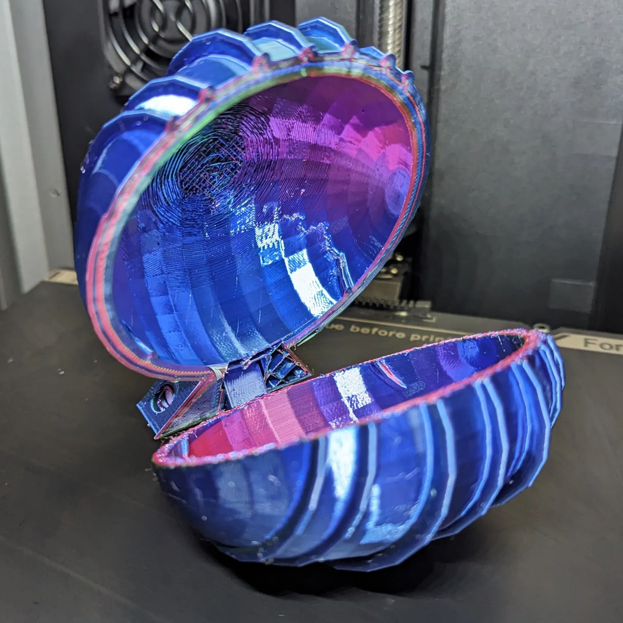 Seashell Box