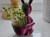 Easter Bunny Pot-0