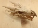 Crâne de dragon-1