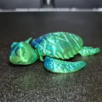 Baby Sea Turtle-3