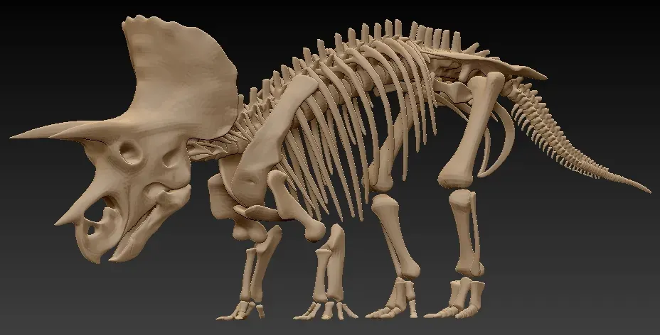 Triceratops bones - statue - 3D print