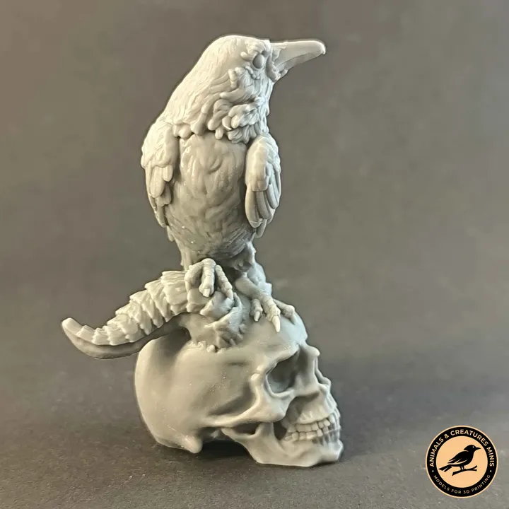Raven on demon skull