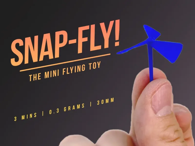 snapfly
