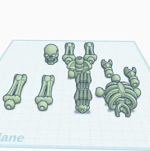 Skeleton