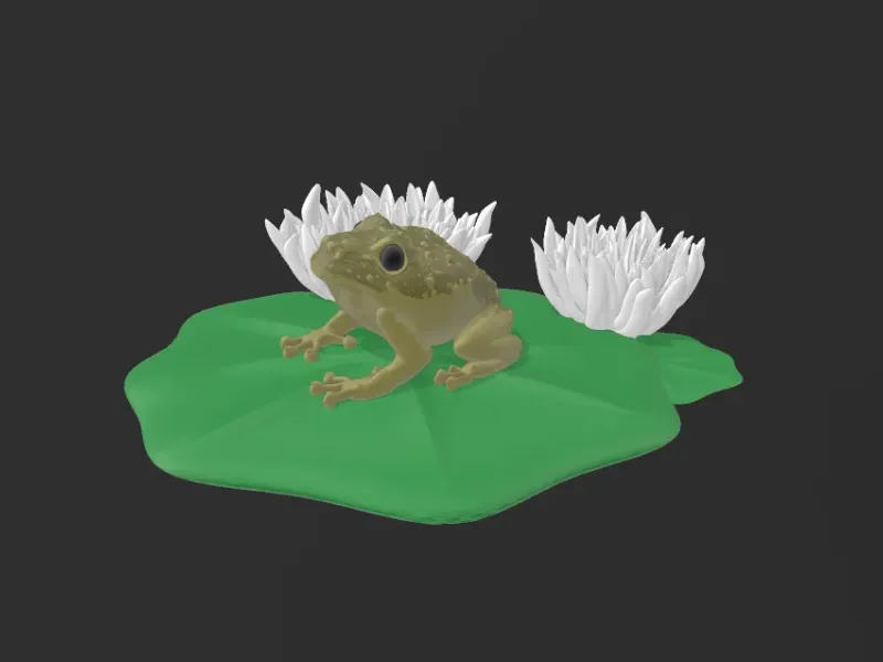 Frog Display