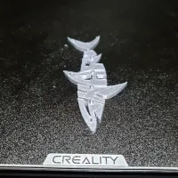 Flex Shark-2