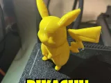Pokemon Pikachu-0