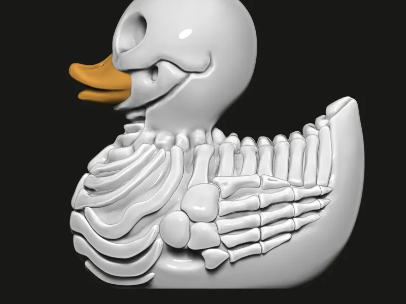 Duck SKELETON