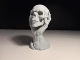 Skull in Hand-3