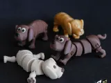 Chien Flexi Transformable-1