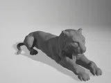 tiger 01-0