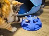 Cat Treat Ball Puzzle-1