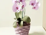 Diamond Wave Planter-1