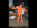 Flexy Skeleton-1