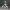 [NSFW] Arlecchino Genshin Impact